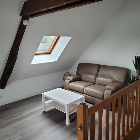 בלואה Appartement Avec Vue Sur Loire מראה חיצוני תמונה