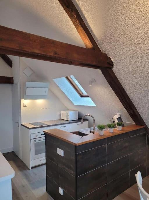 בלואה Appartement Avec Vue Sur Loire מראה חיצוני תמונה