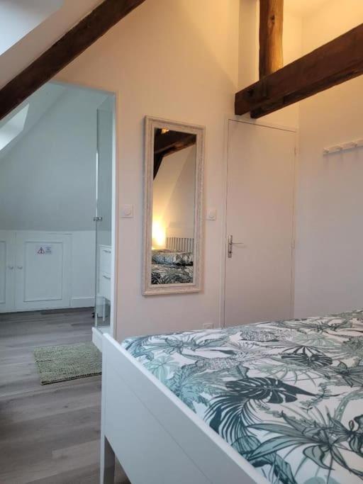 בלואה Appartement Avec Vue Sur Loire מראה חיצוני תמונה