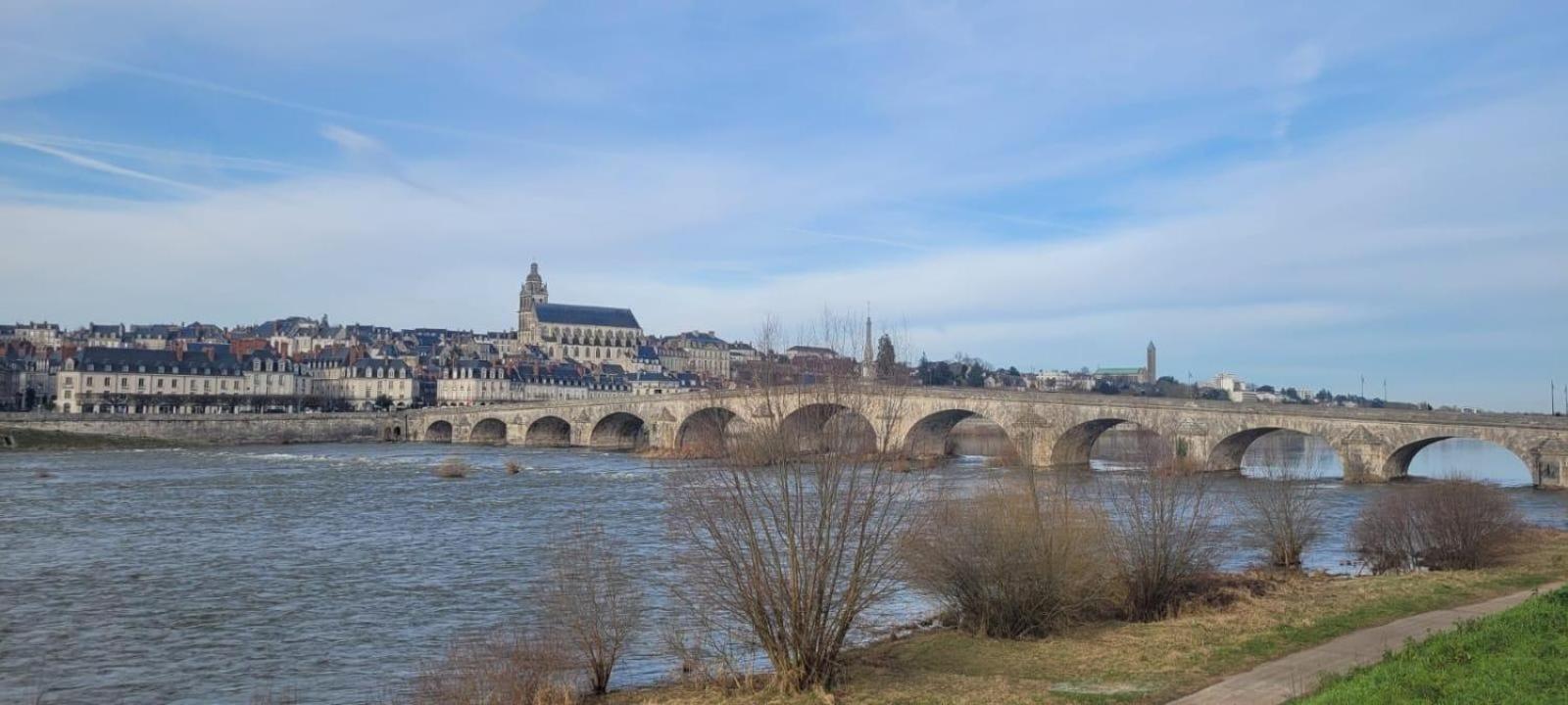 בלואה Appartement Avec Vue Sur Loire מראה חיצוני תמונה
