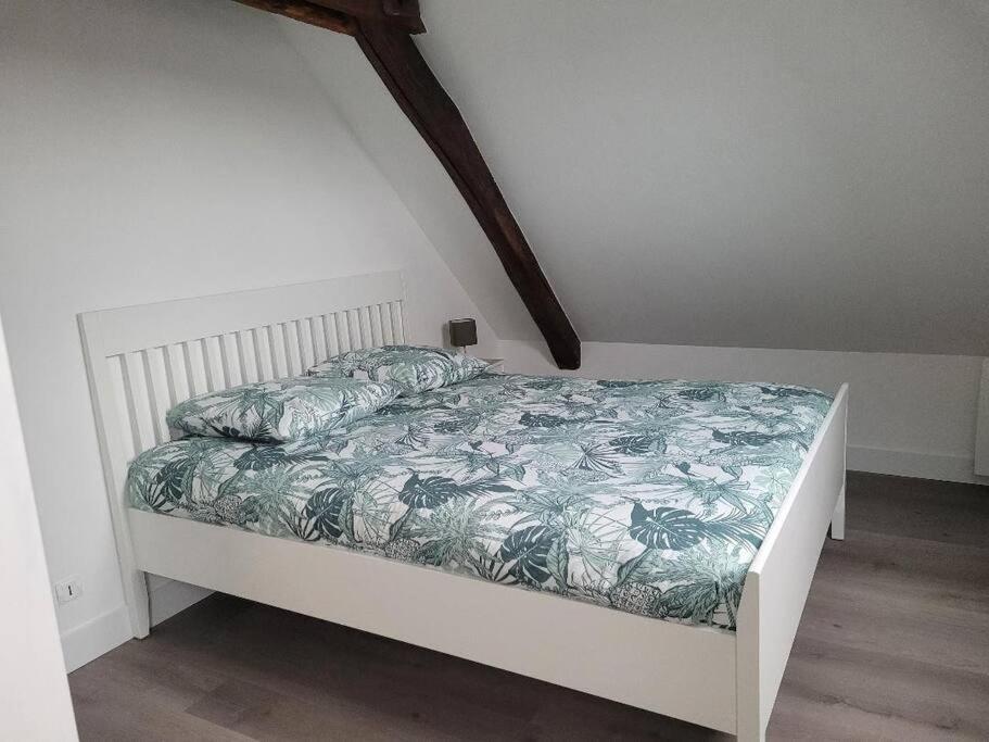 בלואה Appartement Avec Vue Sur Loire מראה חיצוני תמונה