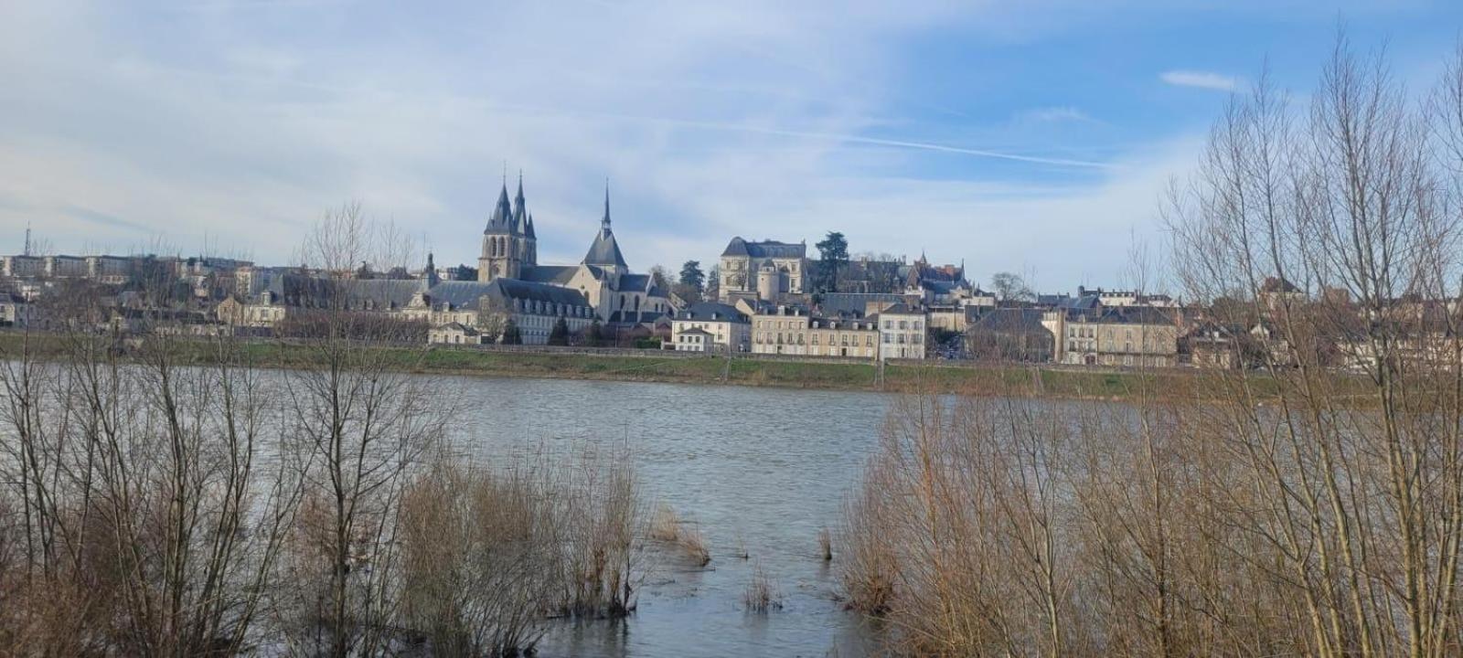 בלואה Appartement Avec Vue Sur Loire מראה חיצוני תמונה